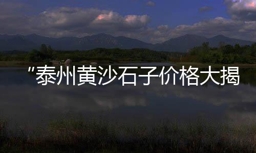天津纤维水泥压力板市场、海螺水泥的总体市场、本地水泥市场报价、武汉旧水泥仓市场