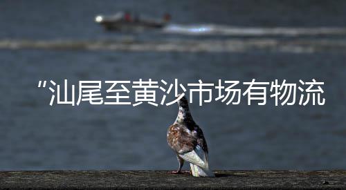 广州黄沙市场毒蚬肉、广州黄沙市场活海参、黄沙市场开工时间、黄沙市场周边环境