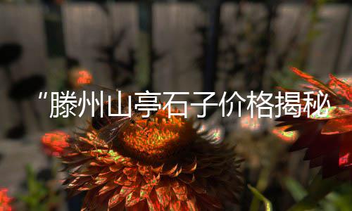 安徽石子价格销售群、今日杭州石子价格、洗米石石子价格、上街石子价格最新
