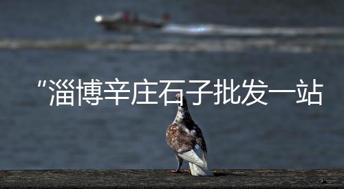 建房子石子去哪里批发、榆林锦界石子批发电话、合川区河沙石子水泥批发、郏县石子批发电话号码
