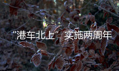 江西赣州龙南石子价格、常州石子汗蒸价格、鱼缸石子加工机器价格、珠海制造检测石子价格