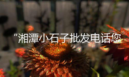 新疆水泥市场份额排名、水泥纤维板市场情况、市场水泥地面清洗价格、番禺水泥市场有哪些厂子