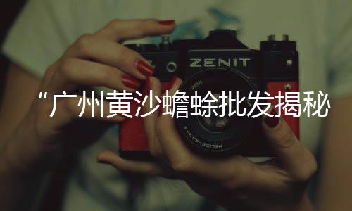 桂林广场石子价格、福建黑石子价格、抚州石子制砂机价格、石子历年价格查询