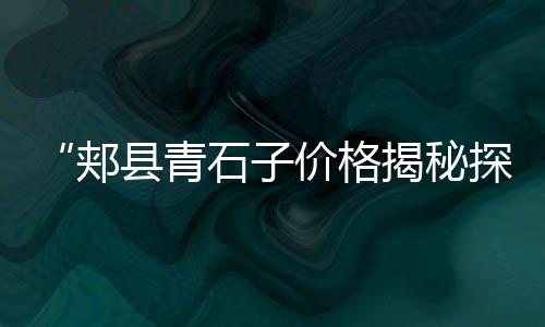 上海石子要多少钱、上海盆栽用彩色石子、舟山到上海石子船多久、上海黑石子碎石厂家地址