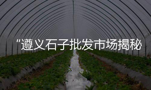 上海有几个黄沙水泥厂地址、上海黄沙水库钓鱼地点、上海龙吴黄沙码头、上海山料黄沙砖块