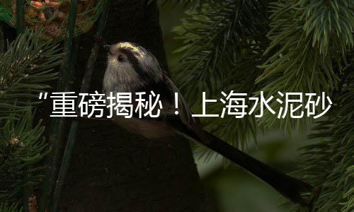 国内水泥窑电机直销市场、华润水泥市场范围、2020江西水泥市场、全国水泥市场均价