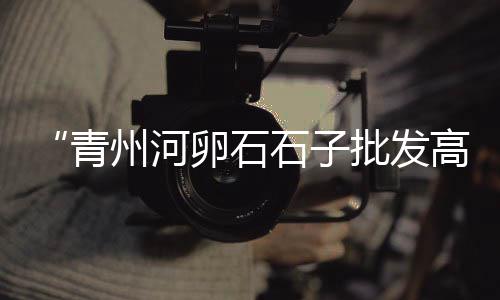 下沙黄沙价格走势最新、临沂黄沙石子价格、21年黄沙价格走势、奉贤黄沙水泥价格查询
