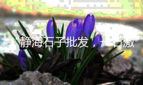 邢台彩石子批发市场、泰州海陵区石子批发市场、兰花石子市场有买的吗、宜兴埠镇石子建材市场