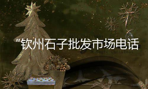 灌云石子零售店地址电话、大碱厂镇石子批发零售、辉县零售石子店电话是多少、辛口镇石子零售点
