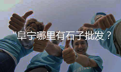 石子价格为什么不同、河南舞钢石子价格、袋装石子设备价格、石子混泥土价格