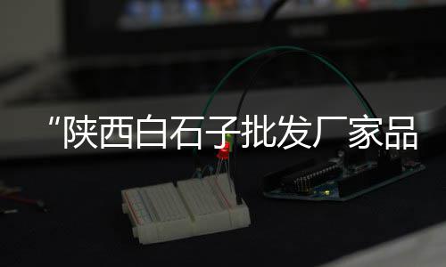 大连水泥电力井模具价格、水泥小砖价格、老虎水泥价格、刮水泥价格