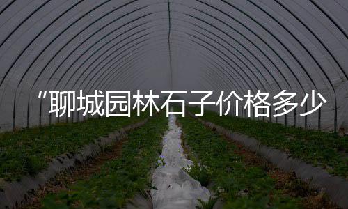 深圳市再生石子批发市场、郑州精品石子批发市场、林州袋装石子批发市场、钦州石子批发市场在哪