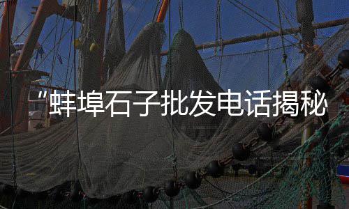 上海闵行码头石子、石子墨 上海、上海磨石子、上海船石子