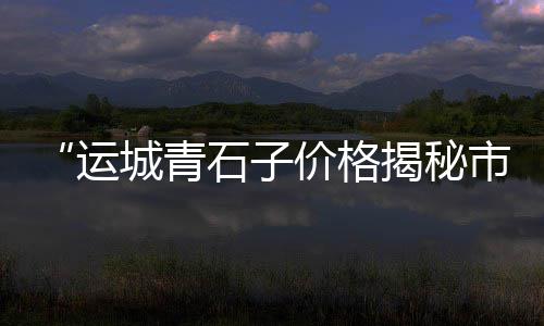 上海到黄沙岛有船吗、黄沙港开上海大巴要多久、上海黄沙水泥砖头价格、上海黄沙码头招租吗知乎