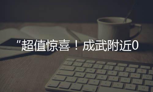 上海小伙丢石子、上海拉石子船多少钱、上海石子铺路是哪个区的、上海天算量化石子煌