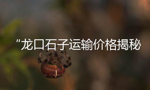 梧州花岗岩石子价格行情、汕头石子价格表、重庆花岗岩石子价格、辽宁丹东石子价格