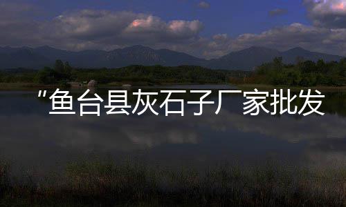 西宁市水泥的零售西宁、附近哪有水泥砖零售吗、专业零售批发黑白水泥、水泥多少钱一吨零售