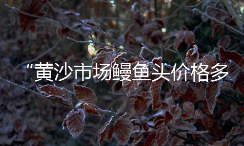 扬州2019年黄沙价格、南通建房黄沙价格走势、普陀附近黄沙配送价格、如皋园林黄沙价格多少