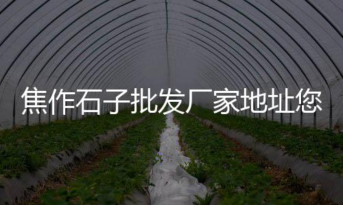 上海黄砂石子码头电话、上海工地装卸沙子石子、上海道渣再生石子、上海大量出售石子