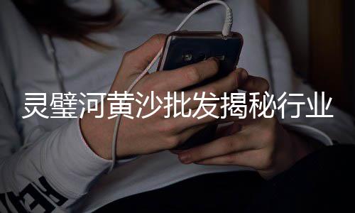上海节能石子仓、上海石子价格行情、上海再生石子回收电话、上海石子到港价