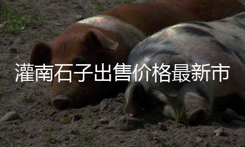上海宝杨路码头卸石子、上海高钙石子哪里有货源、上海大业石子生产厂家、上海金山石子厂地址查询
