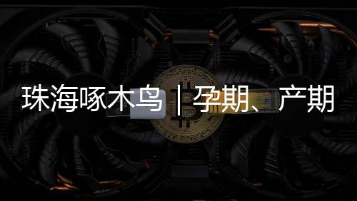 附近黄沙水泥零售配送店、白云黄沙零售哪家好点、从化黄沙零售哪家好点、昆山水泥黄沙零售