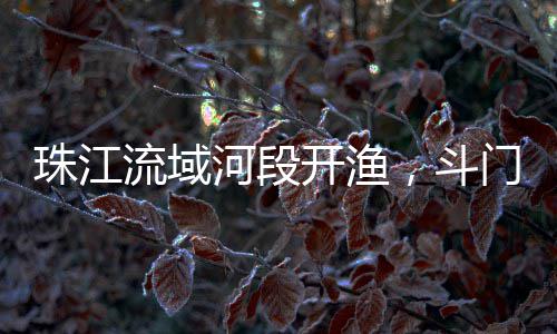 上海建筑回收价石子、上海正规石子仓出厂价格、重庆运石子到上海多少钱、上海品质石子仓进货价格