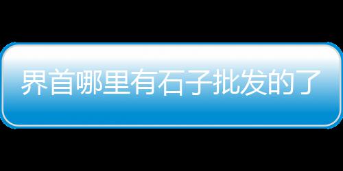 成都水泥注浆管什么价格、钢管水泥去除机的价格、大伙房水泥价格表、水泥搅拌桩空桩价格
