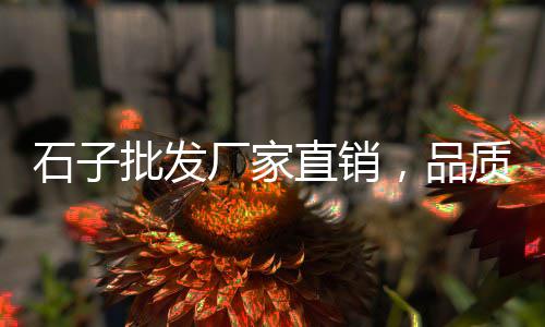 德州地坪石子价格多少、和平石子价格、双阳石子价格、甘肃石子价格