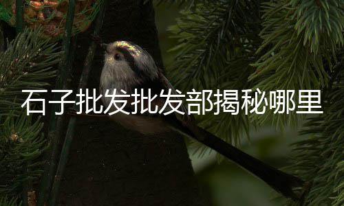 张贵庄石子批发零售、天津彩色石子批发零售、辉县零售石子电话地址、大港区石子零售
