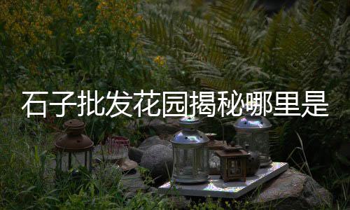 上海浦东川沙黄沙石子水泥批发、上海码头拉黄沙船多少钱、上海黄沙水泥砖块直供厂家、上海码头直销黄沙水泥腻子粉