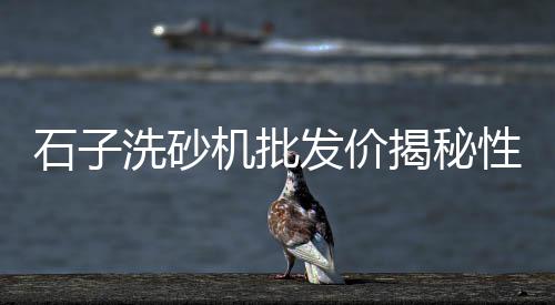 上海哪里有石子浴缸卖、上海河沙石子、上海再生石子厂资质、上海今日沙石子行情