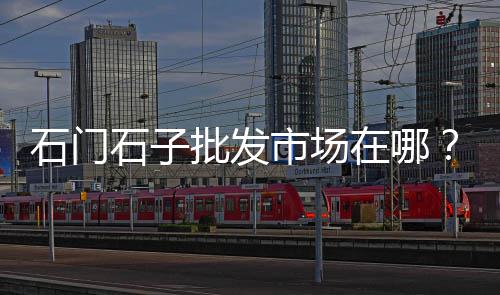 白石子市场价四川、汉中水洗石子批发市场电话、拉石子车二手市场、长岭县市场碎石子价格