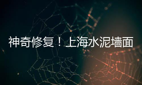 上海大排档丢石子、上海石子黄沙出售、上海沙子石子价格、上海宝山石子