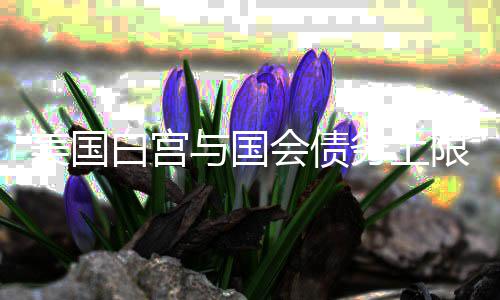 码头黄沙批发上海、晋中黄沙陶粒水泥批发、广州黄沙市场海蛎批发、台州黄沙批发零售