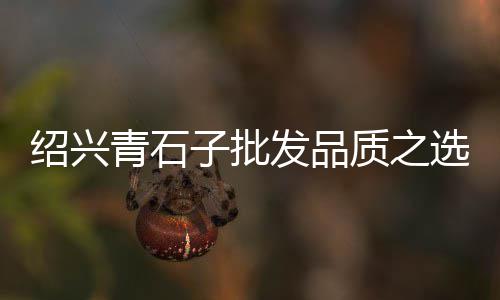 泗门水泥黄沙批发零售、南宁蛋黄沙线上零售店、杭州黄沙水泥零售配送电话、连云区黄沙水泥批发零售