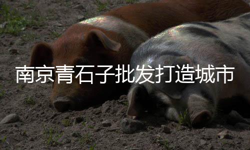 肇庆水磨石地面石子批发、丰台建筑石子批发、金华石子厂家批发、瓜子片石子批发