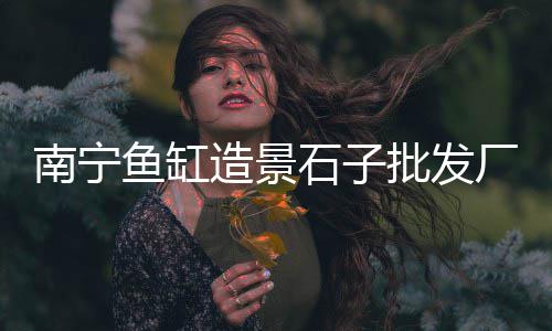 蚌埠纯青石子批发市场电话、石子农贸市场超市电话、丰县石子袋装批发市场、滁州黑色石子批发市场