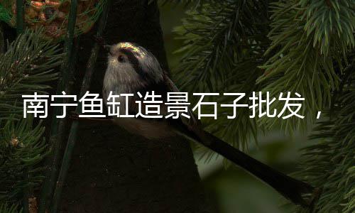 上海大量批发沙石子、上海石子厂价格表、上海常见石子仓降价了吗、上海哪里会有石子的海边