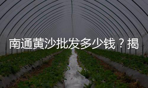 安丘石子什么价格、韩石子画的价格、金华建材青石子价格、新泰青石石子价格走势