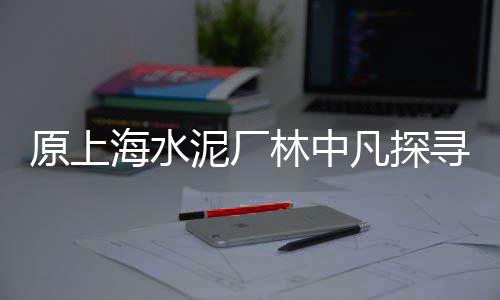 金华沙子石子价格、石子毛料价格走势预测、汝阳建材石子价格查询、新沂沙沟石子厂价格