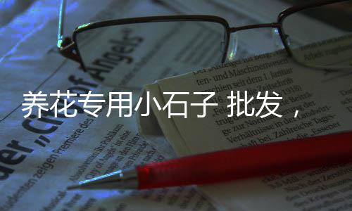 赣州水泥批发零售电话、天津水泥打管机零售商家、批发零售水泥砂石砖厂家、南通开发区零售水泥厂家
