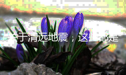 乐平水泥经销零售电话、滁州水泥地面洗地机零售、湖南水泥地坪打磨机零售、中山水泥批发零售点地址