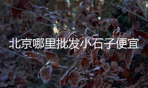 广州黄沙海鱼价格、货运黄沙价格、黄沙价格计算、黄沙价格  上海
