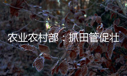贵州安顺石子批发厂家电话、沭阳沙石子批发、买石子馍批发、石子压碎仪批发