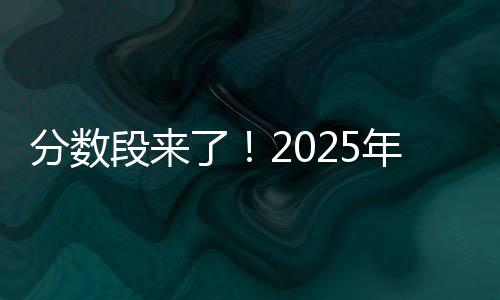 蒲城加厚石子馍批发、灰石子批发部、自贡成佳石子批发、周口石子批发厂家地址