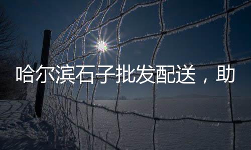 石子河沙厂家批发、石子库下料设备批发、滨州彩石子批发厂家、山西假山石子批发