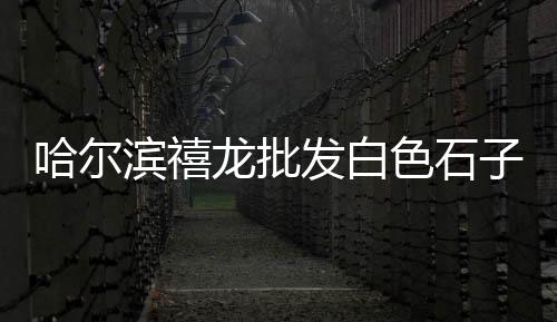青岛水泥沙石价格、临漳邯郸水泥预制管价格、南京双猴水泥价格查询、聊城直埋水泥电杆价格