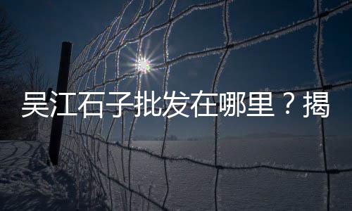 狮岭黄沙蚬批发、江门黄沙蚬贝类批发商、萝岗黄沙批发公司地址、驻马店黄沙水泥批发配送