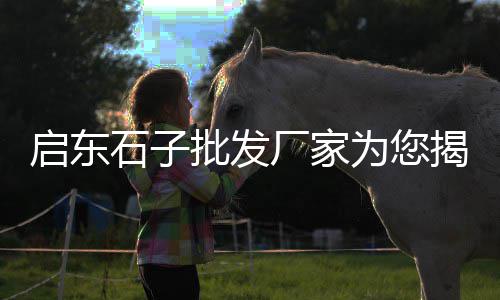 上海松江辰花路黄沙码头、上海工地黄沙价钱、上海哪里可以买到黄沙、上海回收水泥黄沙电话